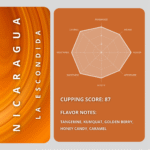 قهوه تخصصی نیکاراگوئه لااسکوندیدا - Image 2
