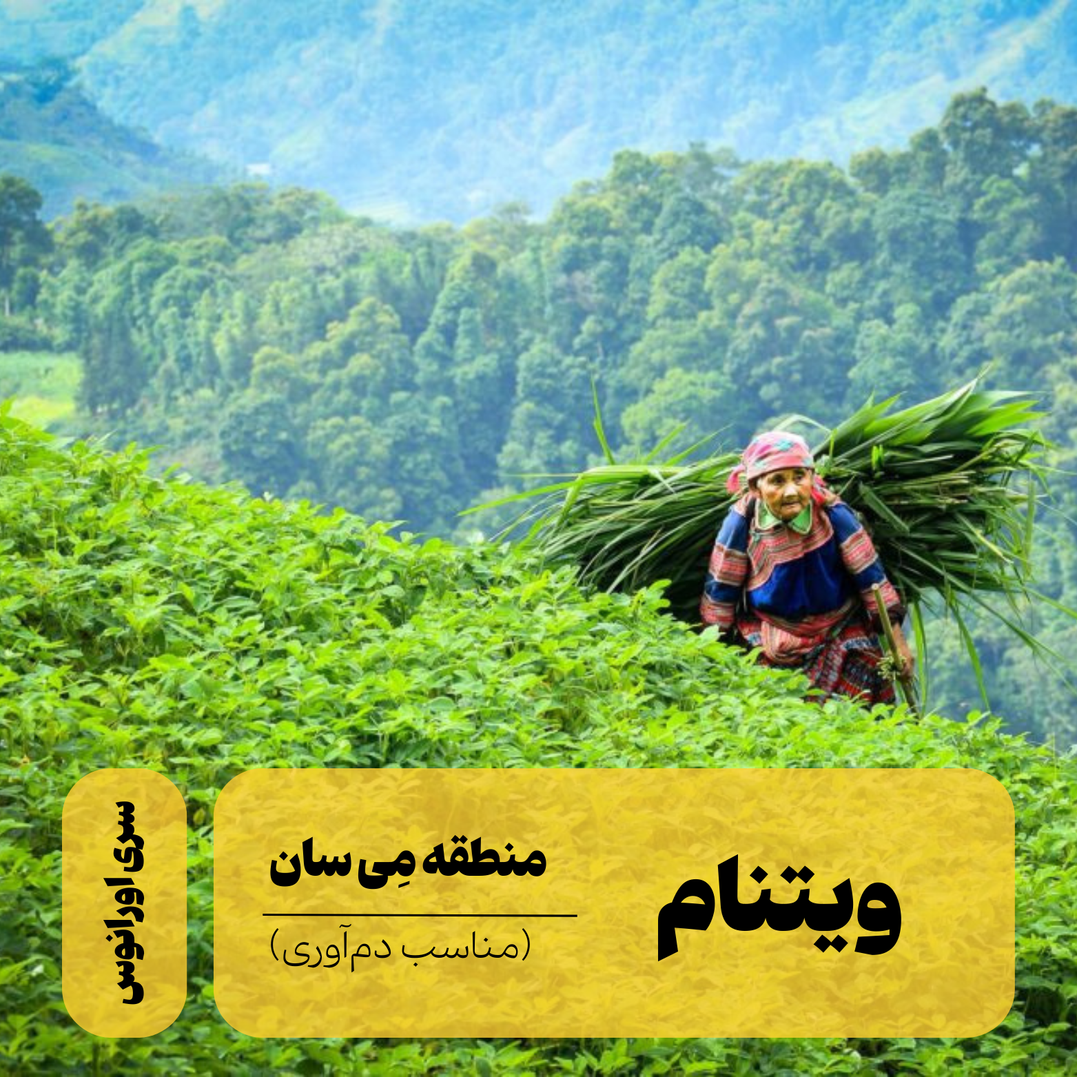 VIETNAM قهوه تخصصی ویتنام می سان - Image 1