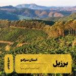 قهوه تک خاستگاه برزیل سرادو