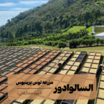 قهوه تخصصی مسابقاتی سودان رومه