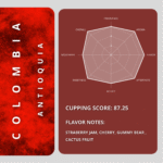 قهوه تخصصی کلمبیا آنتیوکیا - Image 2