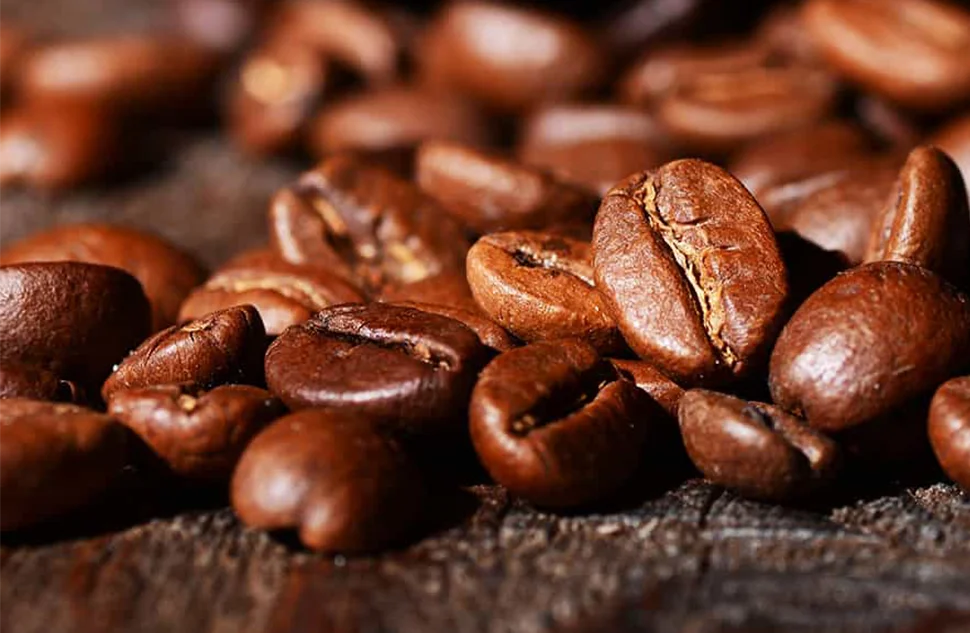 قهوه عربیکا