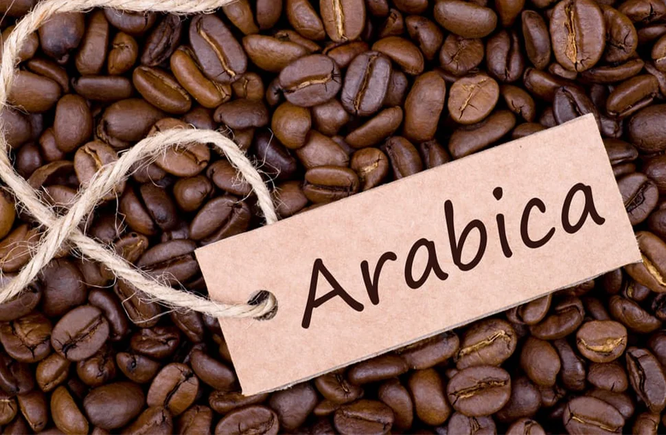 قهوه عربیکا چیست