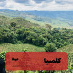 قهوه تخصصی کلمبیا هویلا