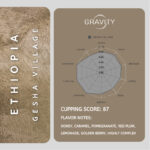 قهوه تخصصی اتیوپی مزرعه گشا ویلیج - Image 2