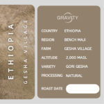 قهوه تخصصی اتیوپی مزرعه گشا ویلیج - Image 3